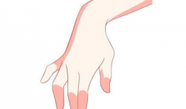 手指动漫,探索手指动漫的魅力